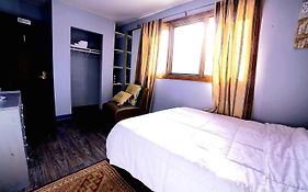 Shaligohomes